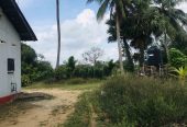 Home and Land sale