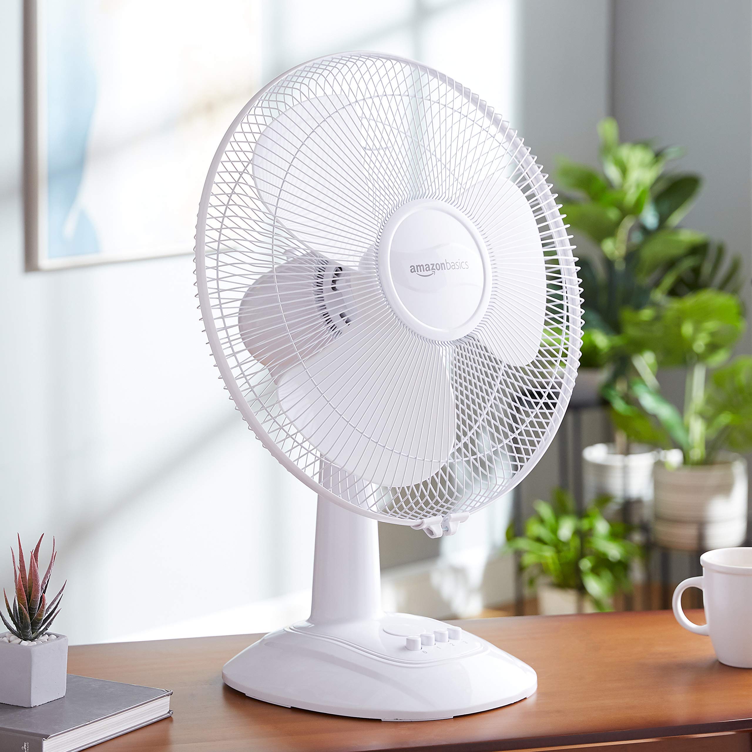 Fan