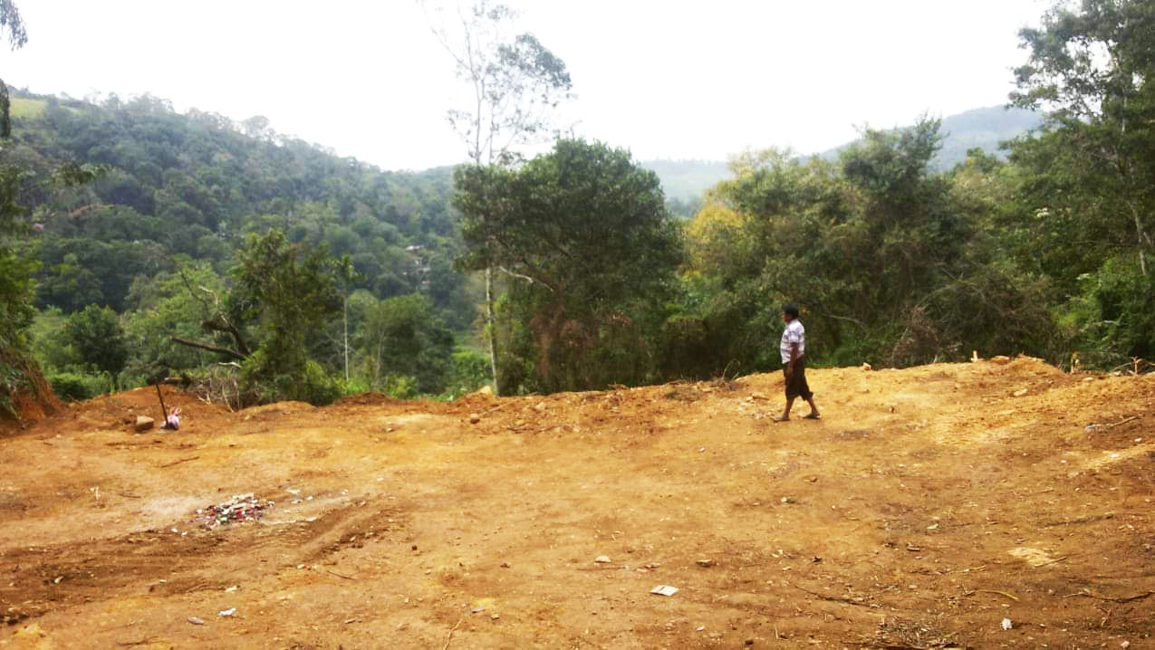 Valuable Investment form Badulla