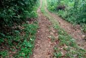 Valuable Investment form Badulla